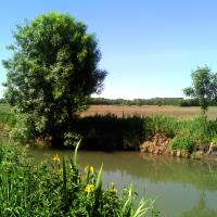 Canal Sainte Julienne [M. MARTIN]